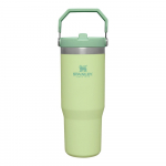 Termosas žalios spalvos 890 ml – Stanley