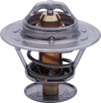 Termostatas AR61538N