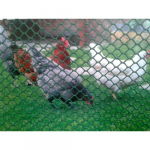 Tinklas naminiams paukščiams, plastikinis, 15 x 15 x 900 mm, (25m) žalias