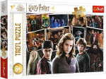 TREFL HARRY POTTER Dėlionė 160 det.