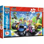TREFL PAW PATROL dėlionė „Šuniukai-patruliai“, 100 det.