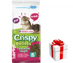VERSELE-LAGA Crispy Pellets Chinchilla & Degu 1 kg - granulės šinšiloms ir degu  + STAIGMENA KATEI