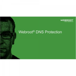 Webroot DNS Protection with GSM Console, 2 year(s), License quantity 10-99 user(s) | 152300002B