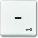 With >Key< icon. For flush-mounted push switch. 2CKA001751A2755 | 4011395995952