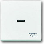 With >Light< icon. As cover for flush-mounted 1gang 1way, 1gang 2way switch, intermediate switch, push-button and control switch 1gang 2way. 2CKA001751A2753 | 4011395995921