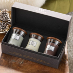 WoodWick Mini Core Fireside, White teak, Stone Washed Suede Gift Set Žvakių rinkinys dovanų dėžutėje, Mini
