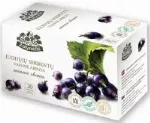 Žolynėlis vaisinė arbata Vasaros Skonis su juodaisiais serbentais, 50g (2,5g x20)
